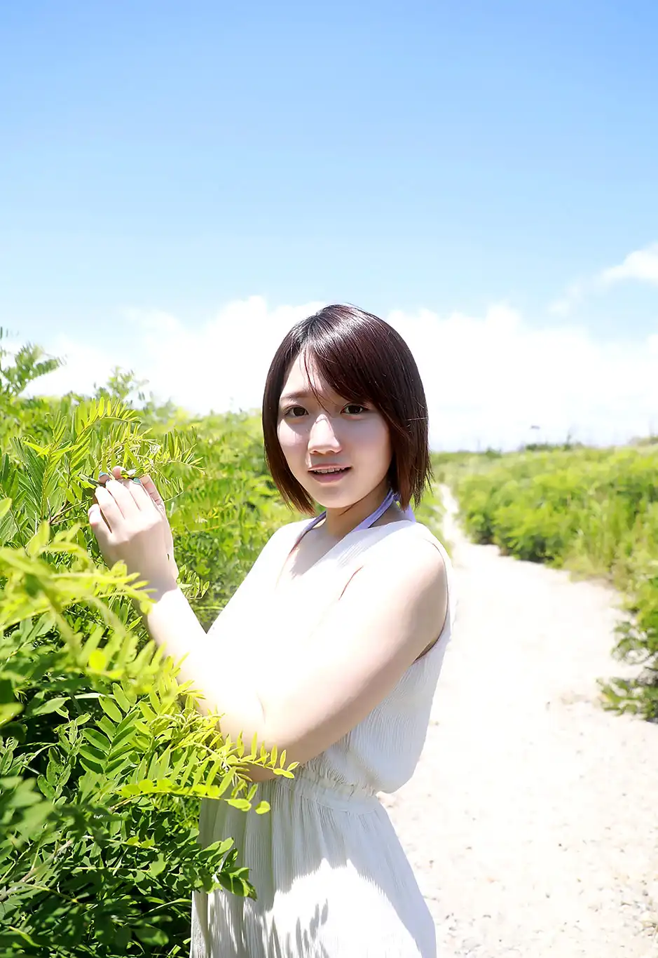 菊川三葉第114張寫真