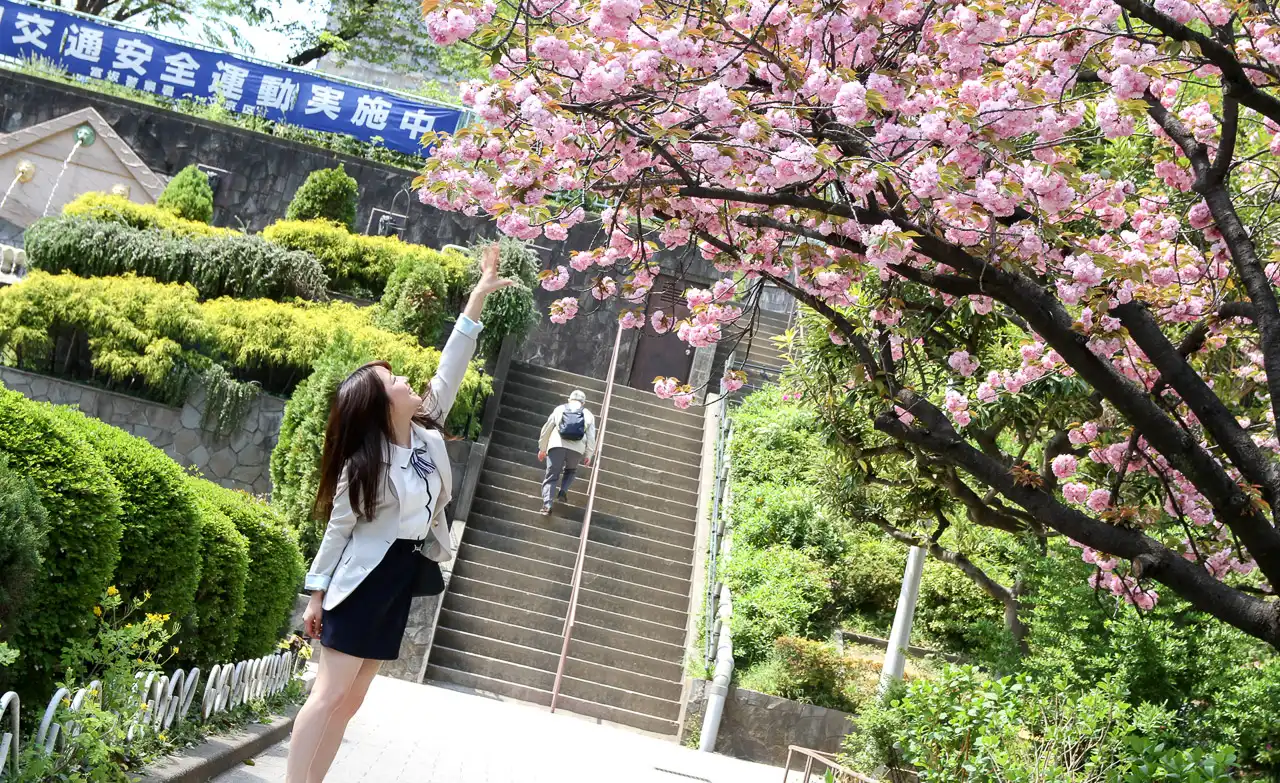 宫泽千春第31張寫真