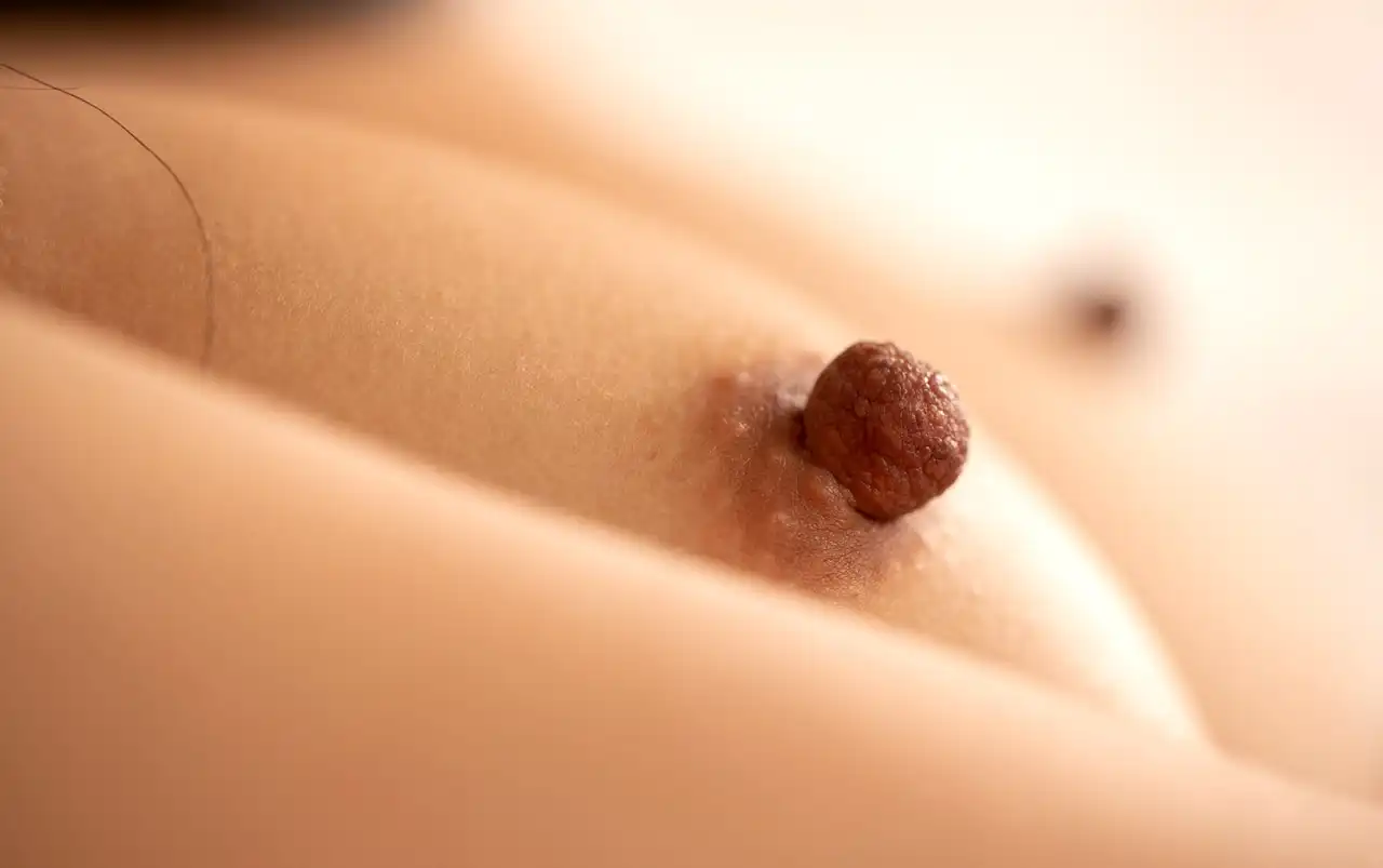 佐倉陽菜第640張寫真