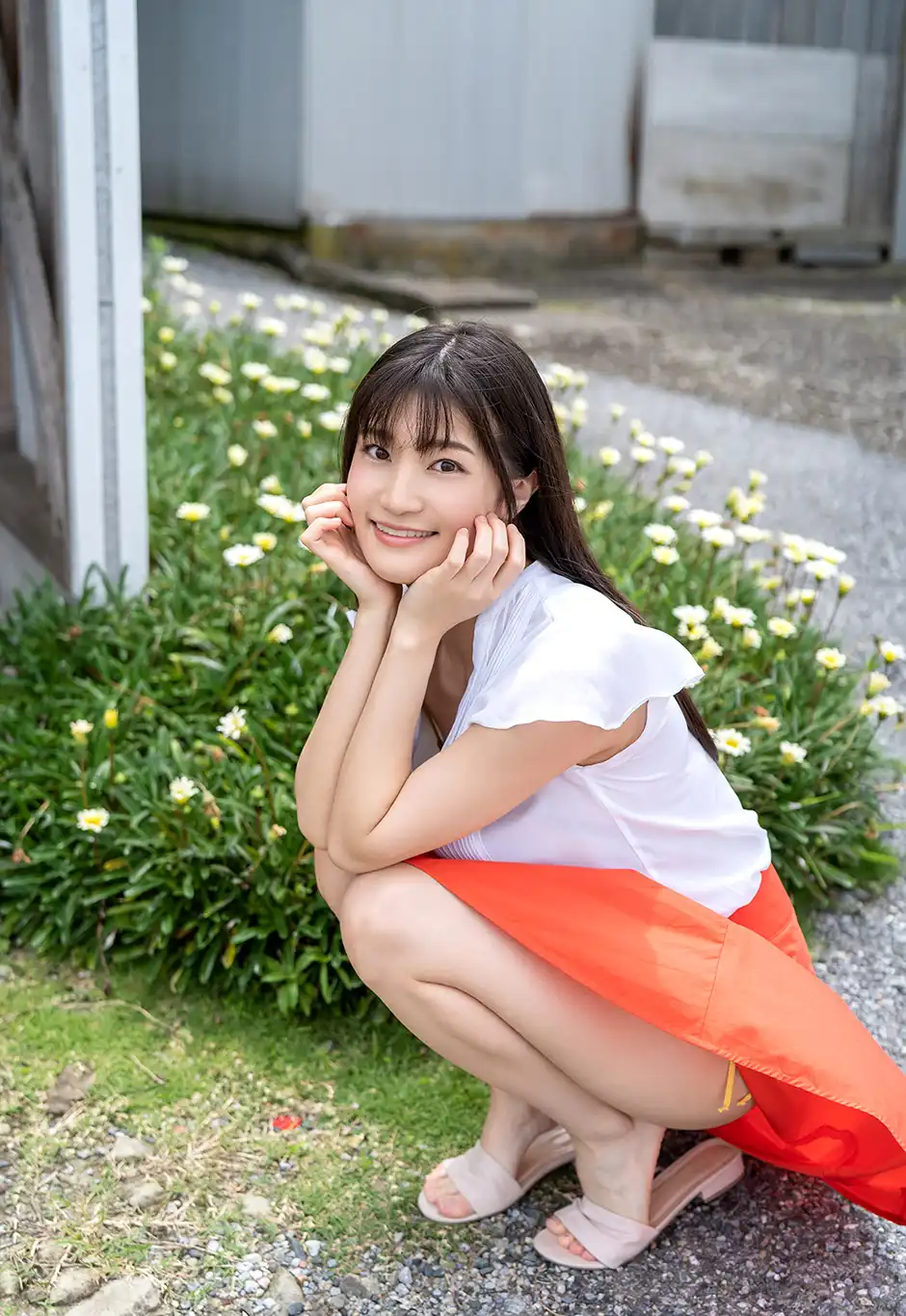 高桥圣子第552張寫真
