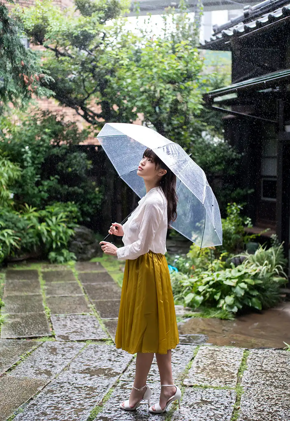 高桥圣子第210張寫真