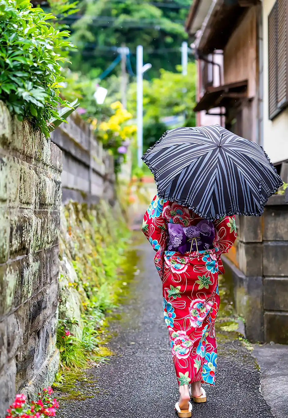 高桥圣子第403張寫真