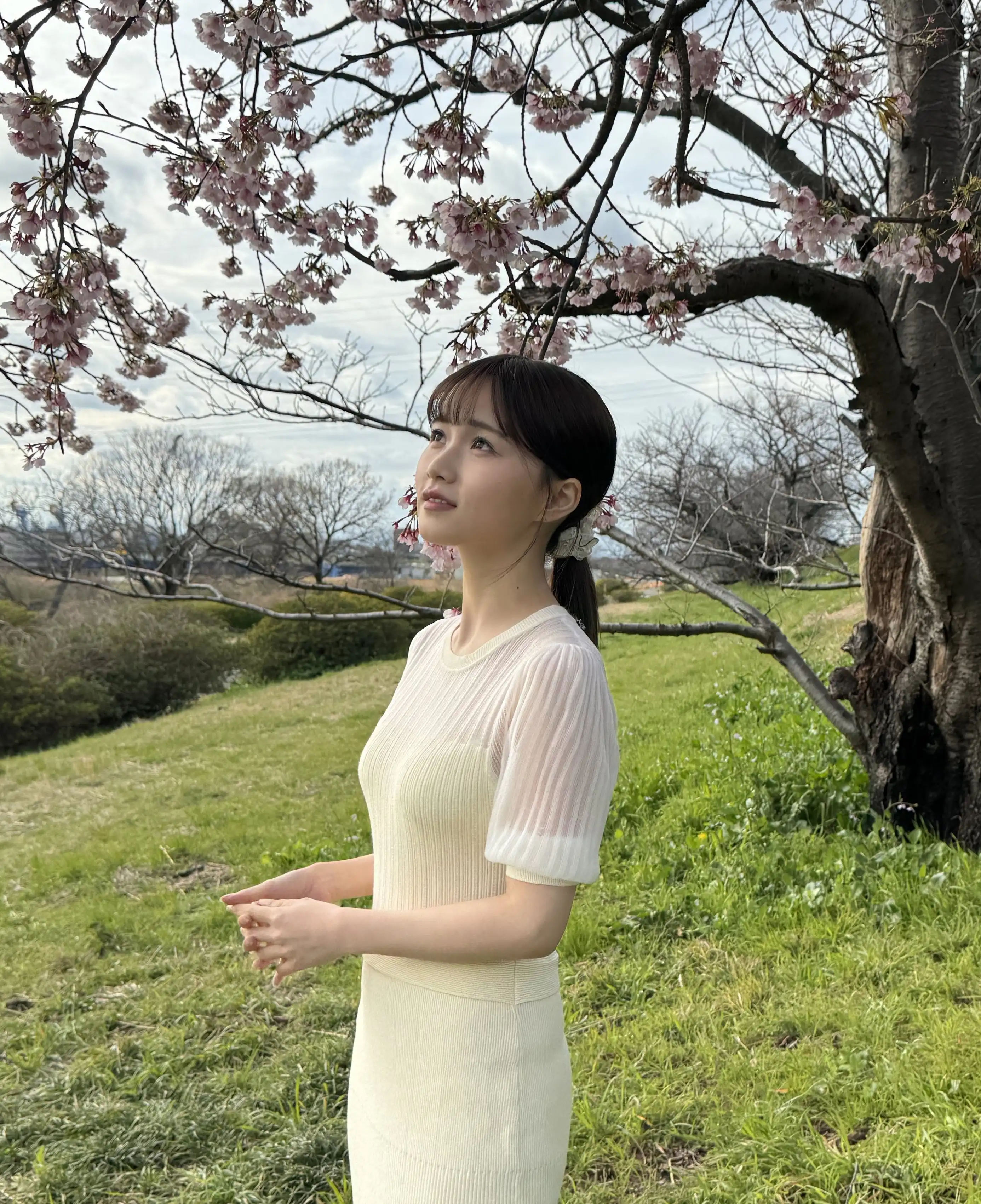 泉百華第14張寫真
