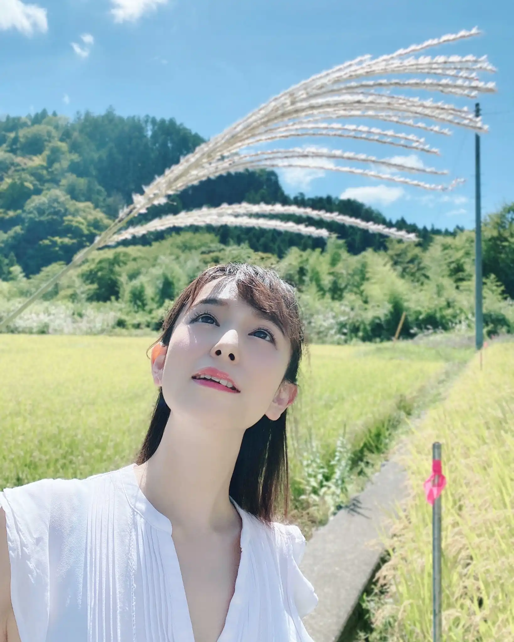 緒川春第266張寫真