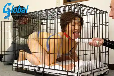 BREK-005 被兒子調教的母親：變態偷東西兒子用媚藥搞媽、廢柴兒子塗鴉玩具玩弄、狗奴調教加3P的禽獸兒子和朋友 ~ 北川礼子 伊織涼子 嶋崎かすみ的劇照10