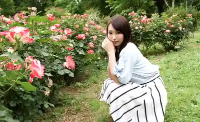 桐谷奈緒第19張寫真