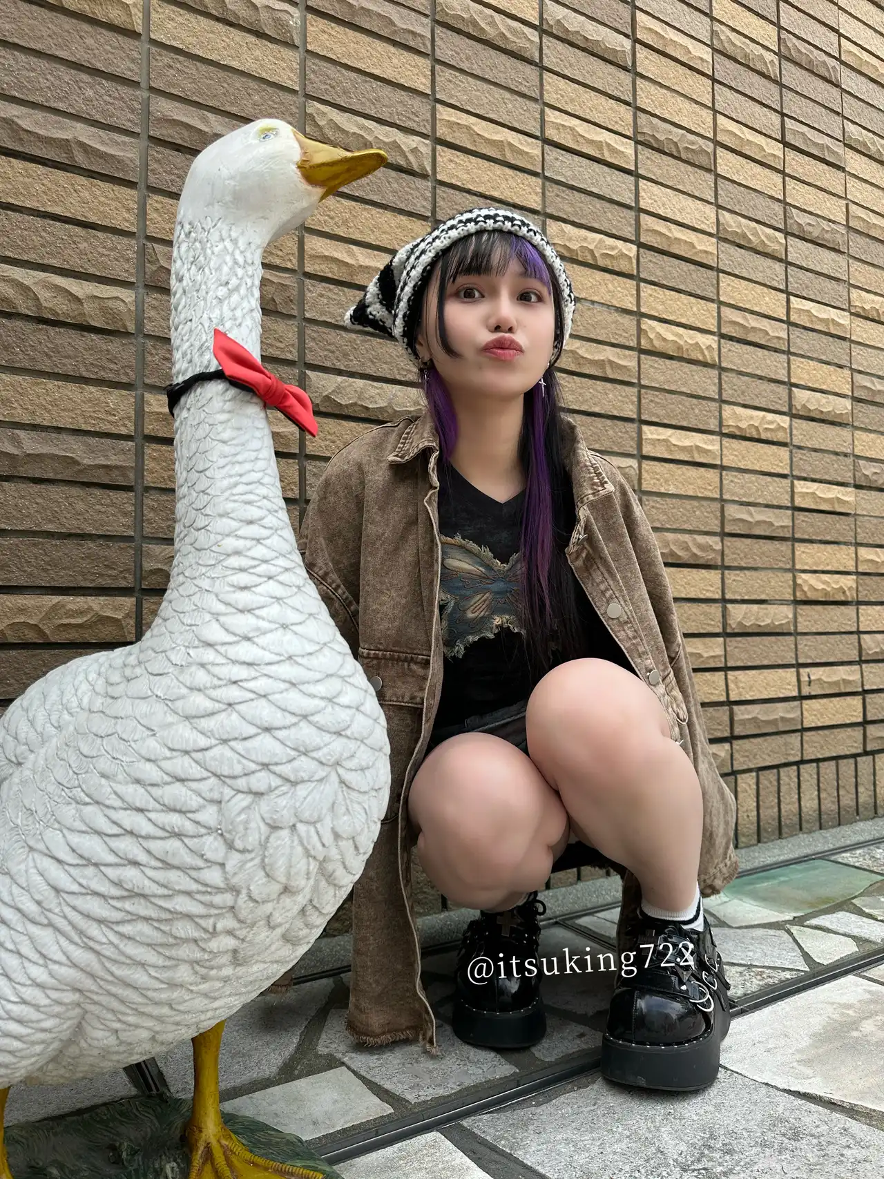 齋齋樹第13張寫真