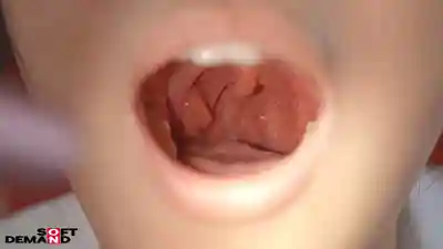 SDJS-327 特別篇 SOD女子職員口暴大賽 祕書篇 ~ 守屋よしの 的劇照12