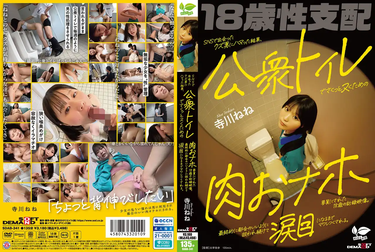 SDAB-341 SNS上的渣男把18歲少女調教成肉便器 隨時隨地拔槍就幹 最後被玩到哭着求饒 ~ 寺川ねね