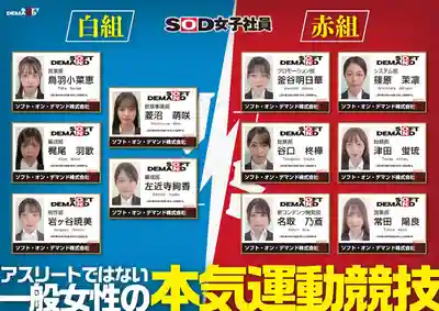 SDJS-346 【特典版】SOD女子社員運動會 37名男女社員大混戰！~ 柴又詩穂 的劇照9