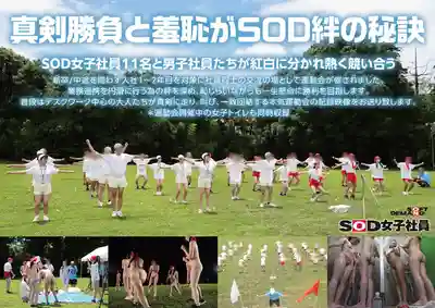 SDJS-346 【特典版】SOD女子社員運動會 37名男女社員大混戰！~ 柴又詩穂 的劇照10