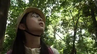 DDK-236 慾望森林 在森林中發現迷路的全裸少女後獸慾大發 ~ 望月蕾的劇照15