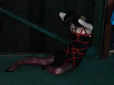 白鳥怜第8張寫真