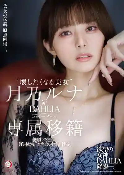 DLDSS-482 讓人想玩壞的美女 DAHLIA專屬移籍 絕頂x38回 汗水與體液交織的本能中出性交 ~ 月乃露娜的劇照1