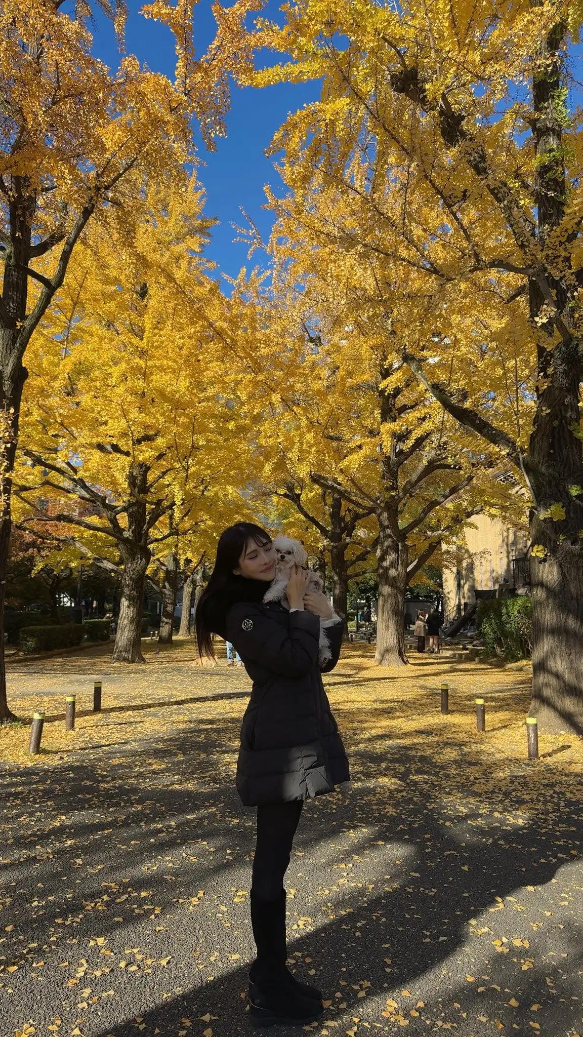 花衣椿第28張寫真