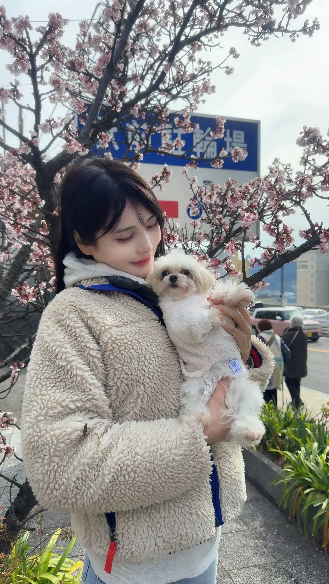 花衣椿第19張寫真