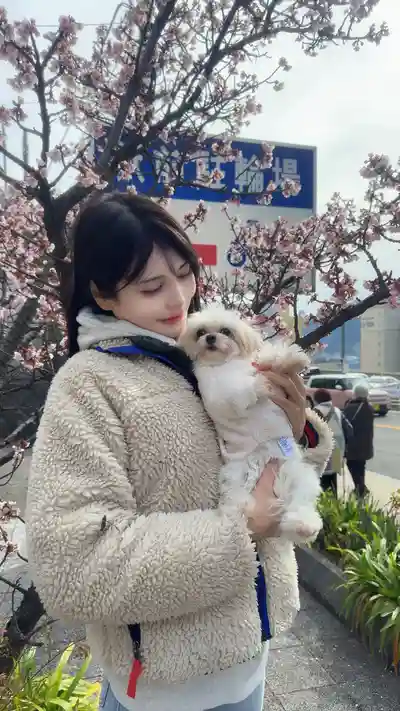 花衣椿第19張寫真