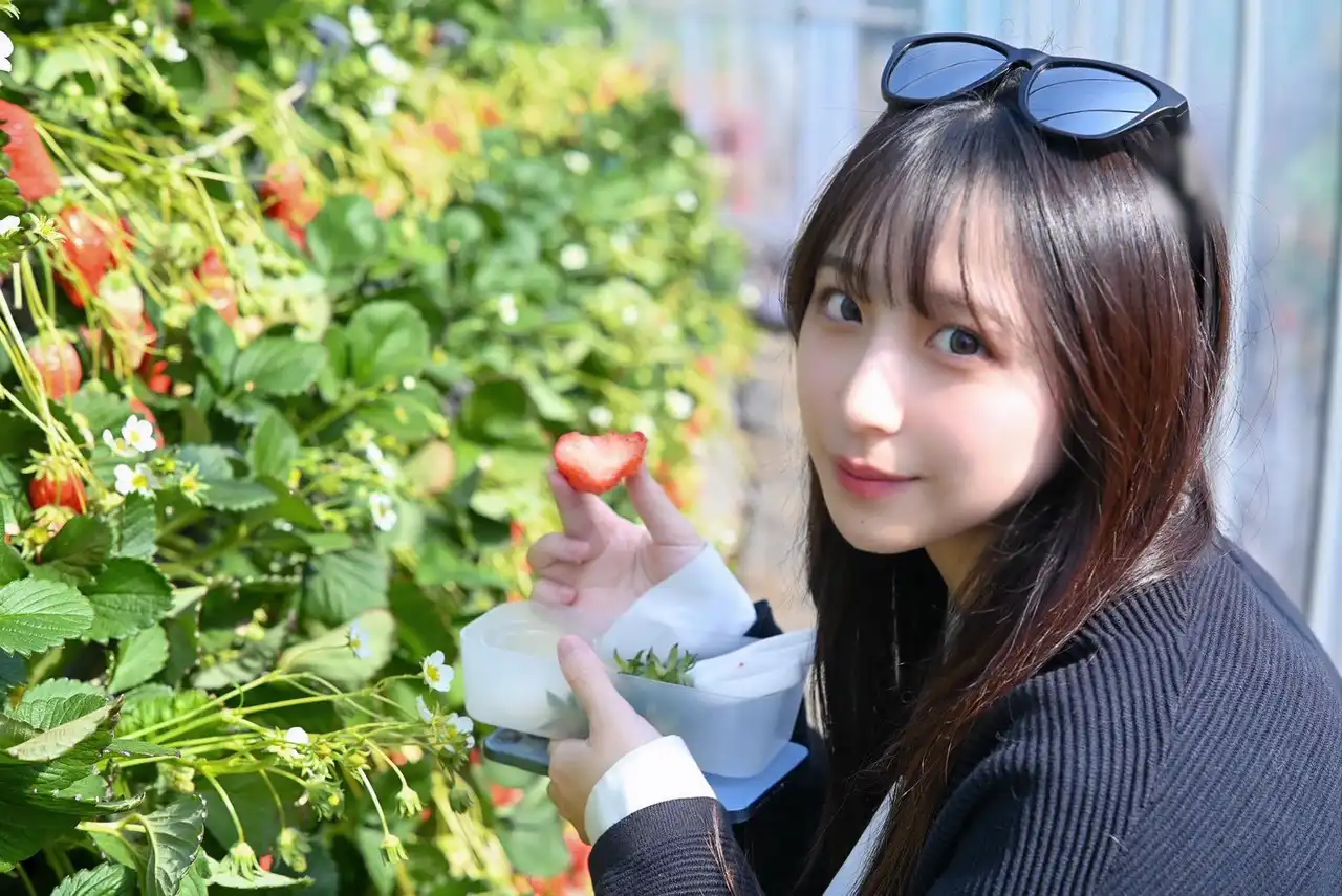 新木希空第62張寫真