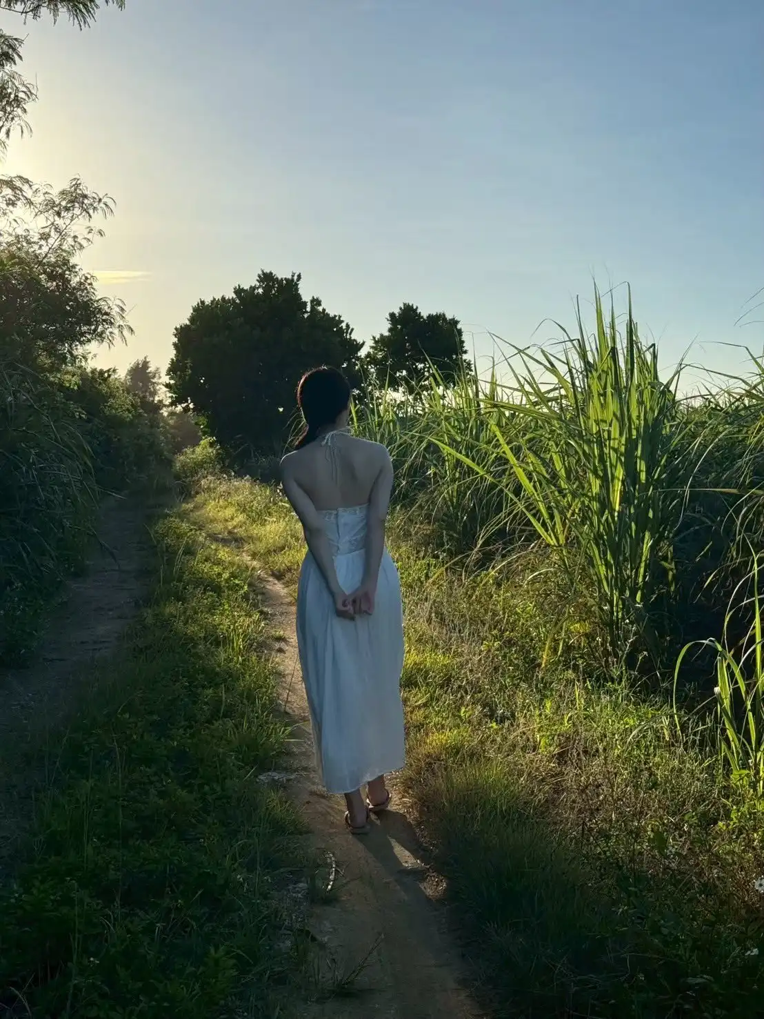 新木希空第151張寫真