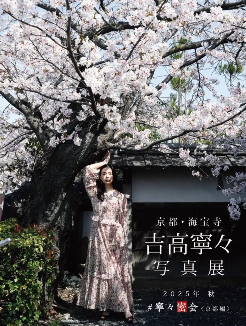 吉高寧寧第259張寫真