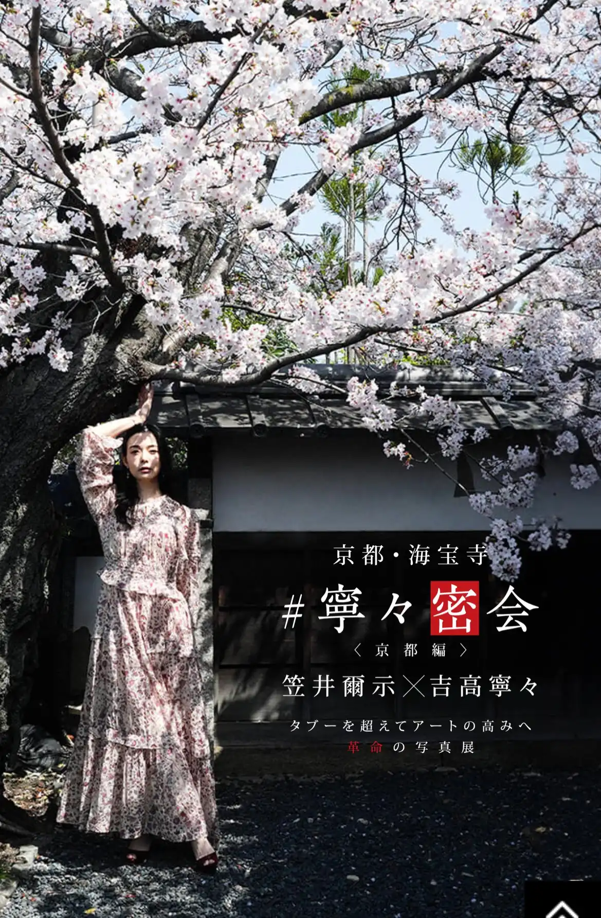 吉高寧寧第251張寫真