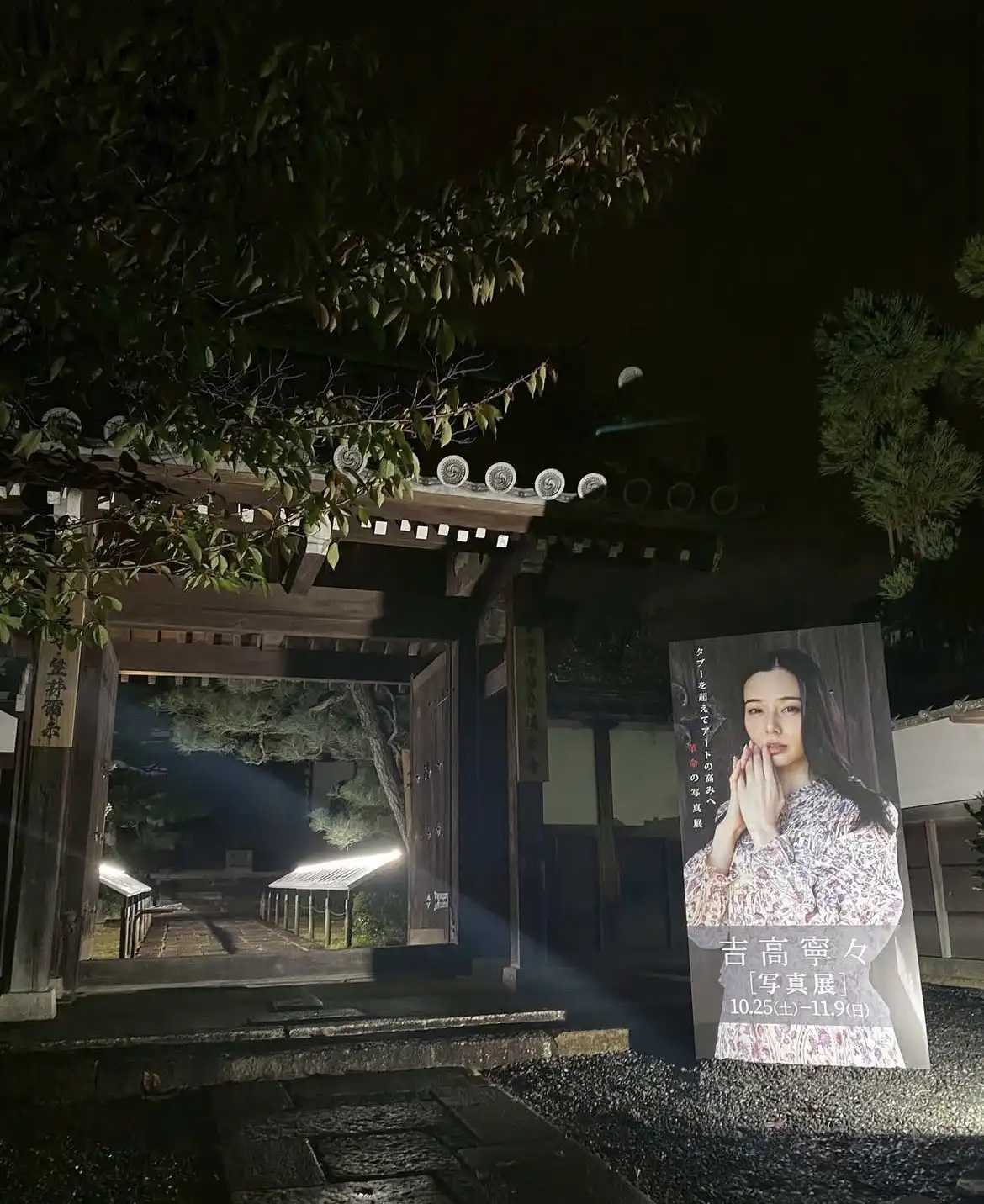 吉高寧寧第222張寫真