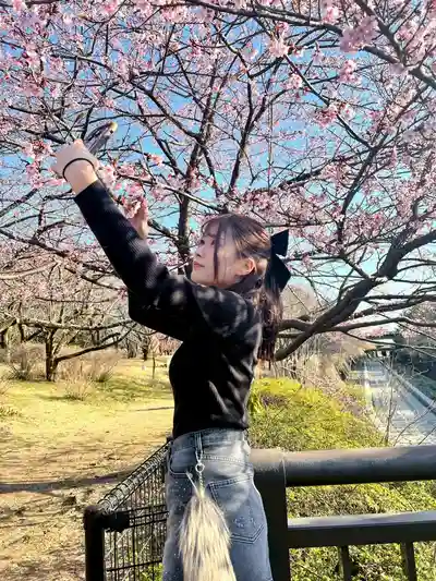 風早蘭第7張寫真