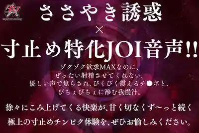 DASS-913 耳邊呢喃誘惑讓你擼到慾火焚身 卻絕對不讓你射的究極寸止JOI ~ 美园和花的劇照13