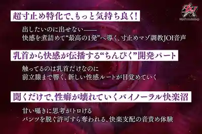 DASS-913 耳邊呢喃誘惑讓你擼到慾火焚身 卻絕對不讓你射的究極寸止JOI ~ 美园和花的劇照12