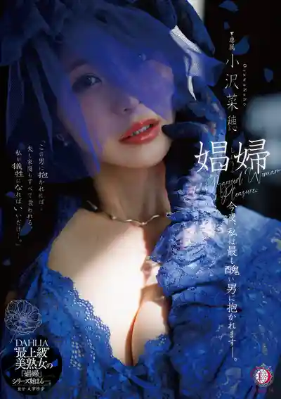 DLDSS-487 娼婦 今夜我將被最醜的男人幹 ~ 小澤菜穗 的劇照1