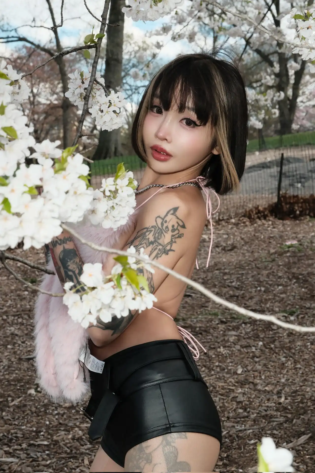 苏樱花第251張寫真