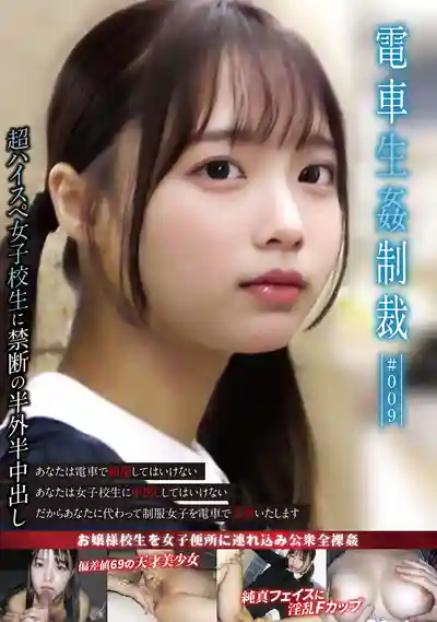 YDNS-009 電車生姦制裁 #009的劇照18