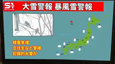 SNOS-309 大停電之夜…與美人上司兩人獨處 在巨乳誘惑與黑暗中失去理性 整晚射到天亮 ~ 金松季歩的劇照9