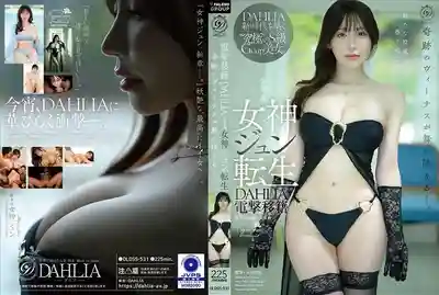 DLDSS-531