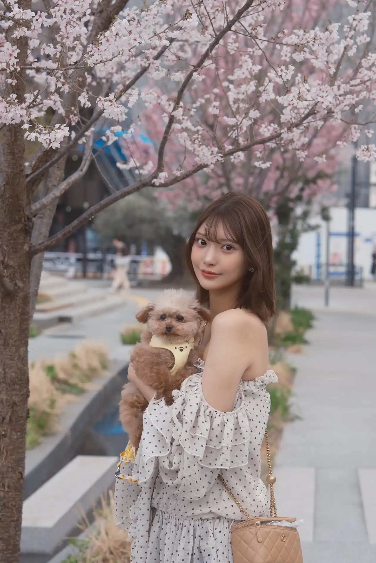 倉木華第277張寫真