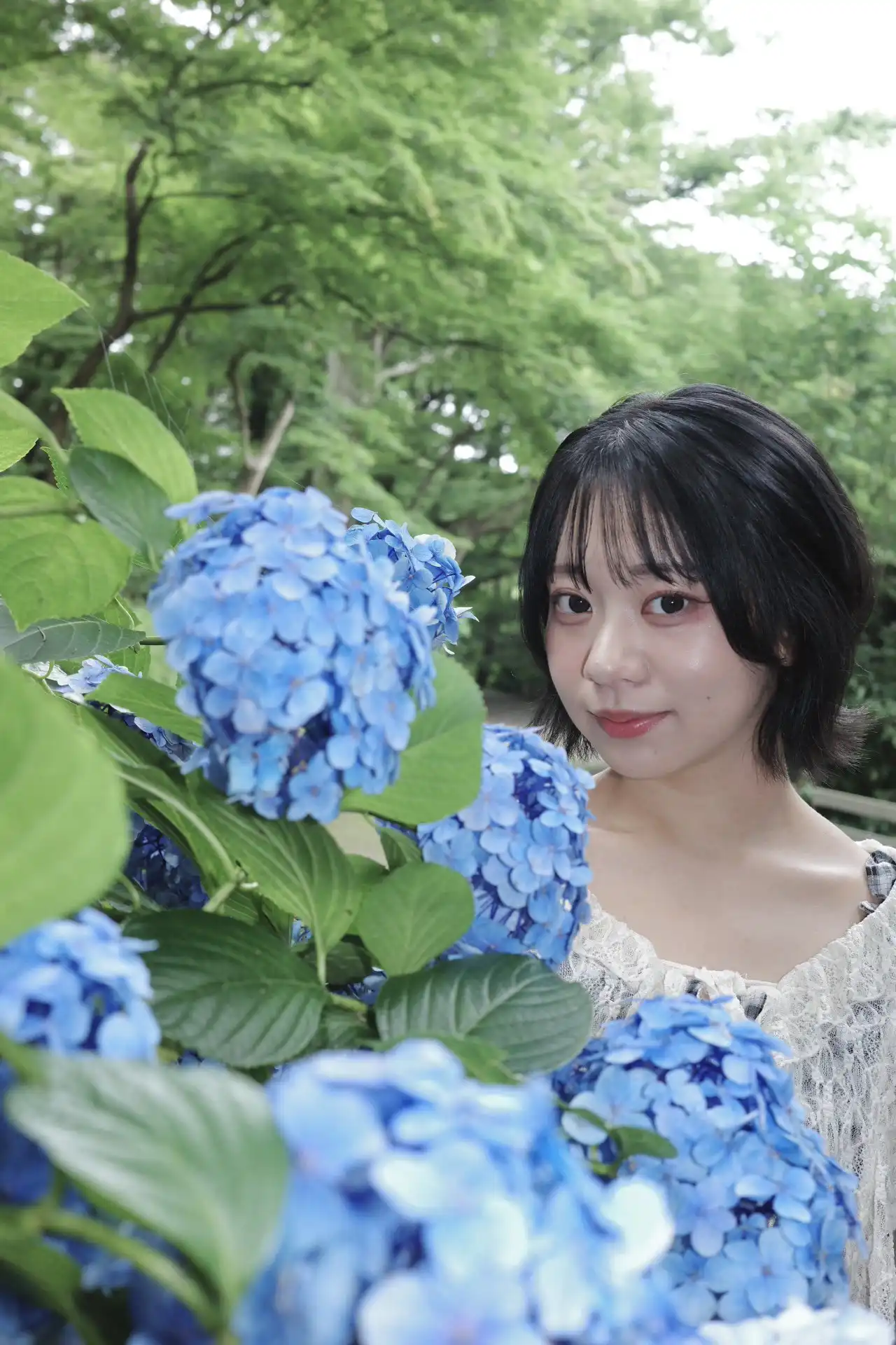 赤名いと第262張寫真