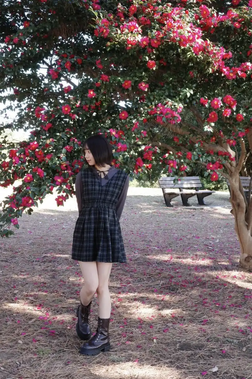 赤名いと第206張寫真