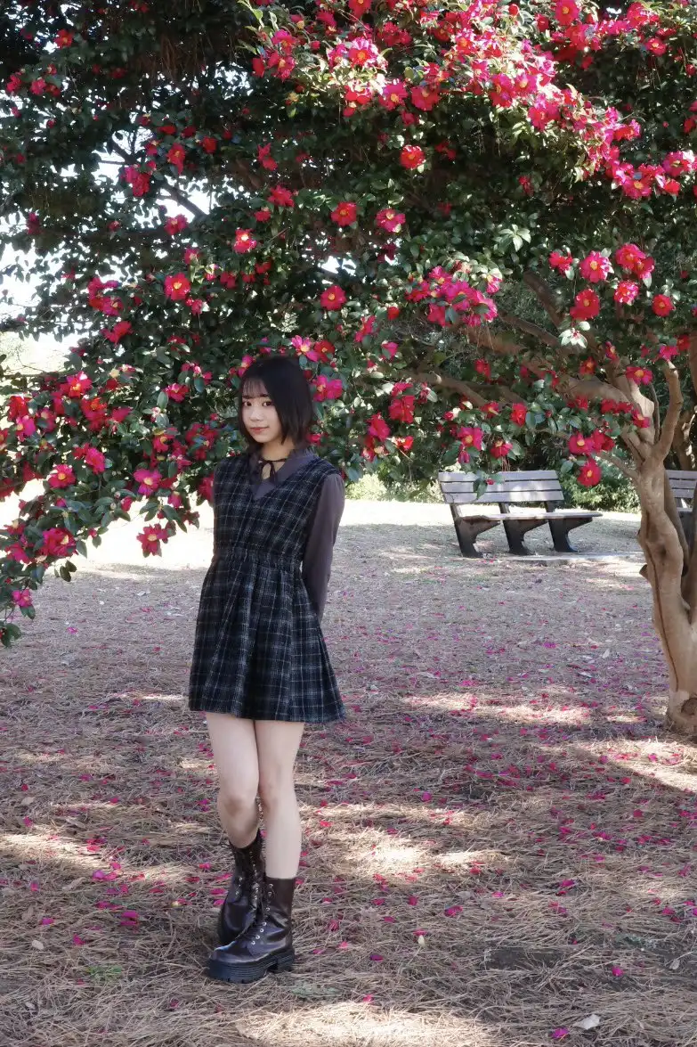 赤名いと第207張寫真
