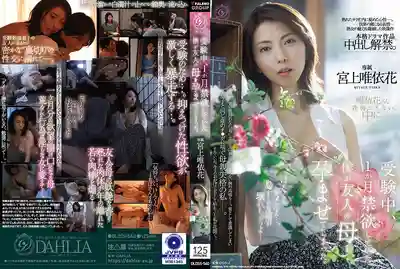 DLDSS-540