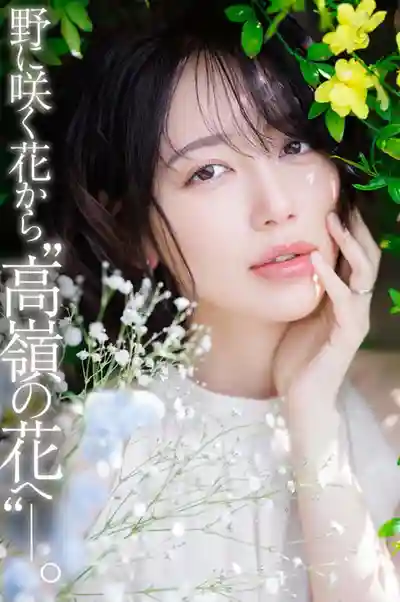 DLDSS-532 電擊專屬 DAHLIA 唯一一朵美麗的花 悄然綻放 ~ 美咲佳奈的劇照10