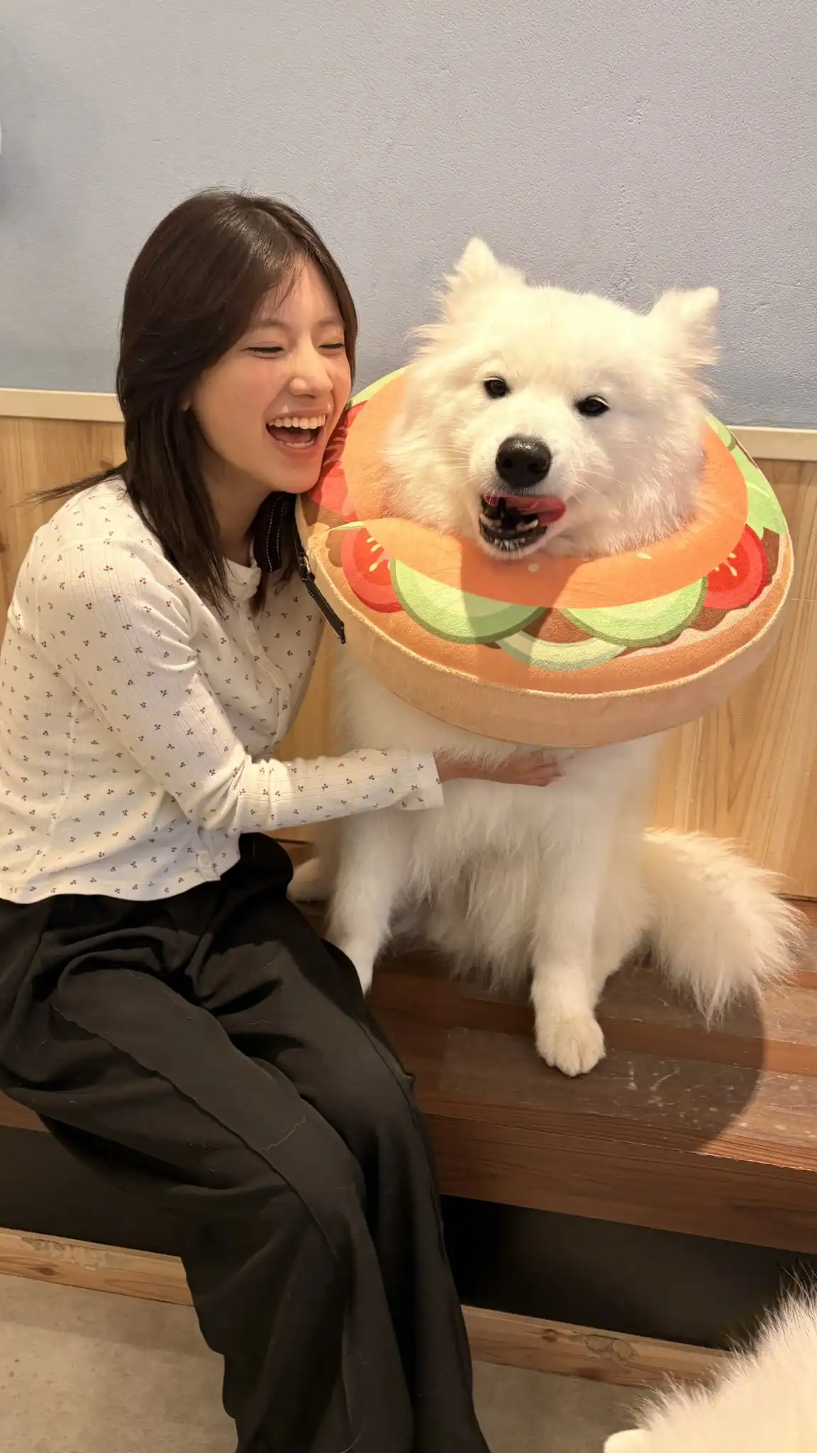 蒼井鈴第12張寫真