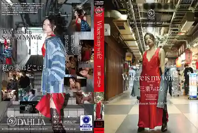 DLDSS-566 我的老婆去哪了？ ~ 三葉千春的劇照12